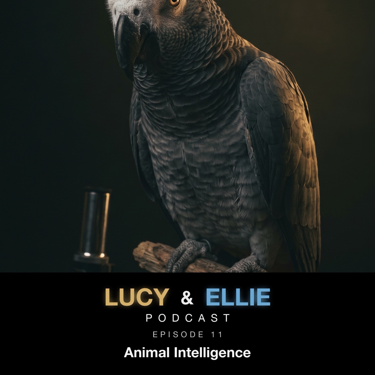 EP11 — Animal Intelligence: Lucy & Ellie Podcast episode art